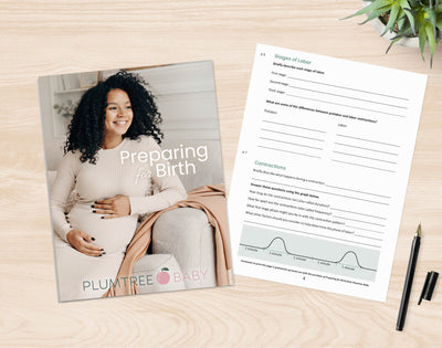Free Companion Workbook for Preparing for Birth