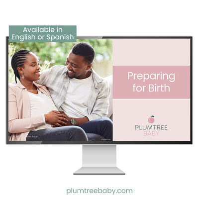 Preparing for Birth PowerPoint-PowerPoint-Plumtree Baby