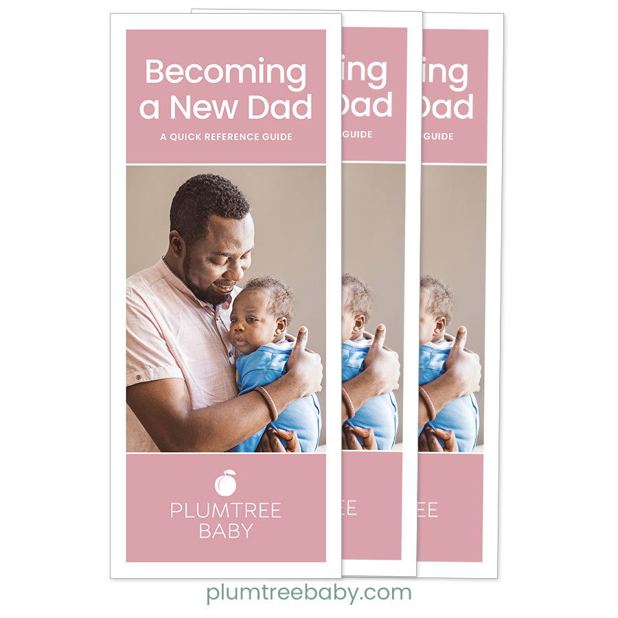 Becoming a New Dad Quick Reference Guides - Pack of 50-Handout-Plumtree Baby