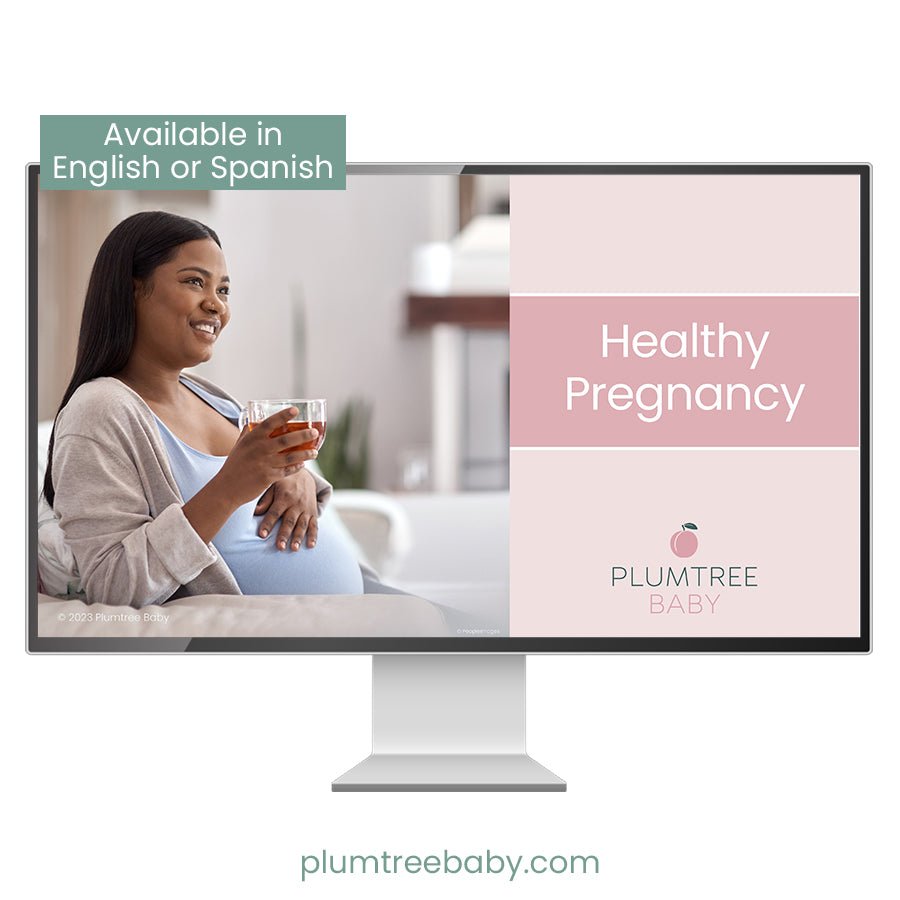 Healthy Pregnancy PowerPoint-PowerPoint-Plumtree Baby