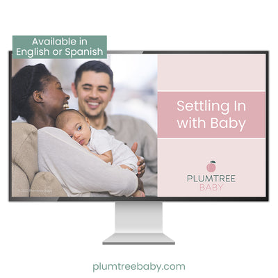 Settling In with Baby PowerPoint-PowerPoint-Plumtree Baby