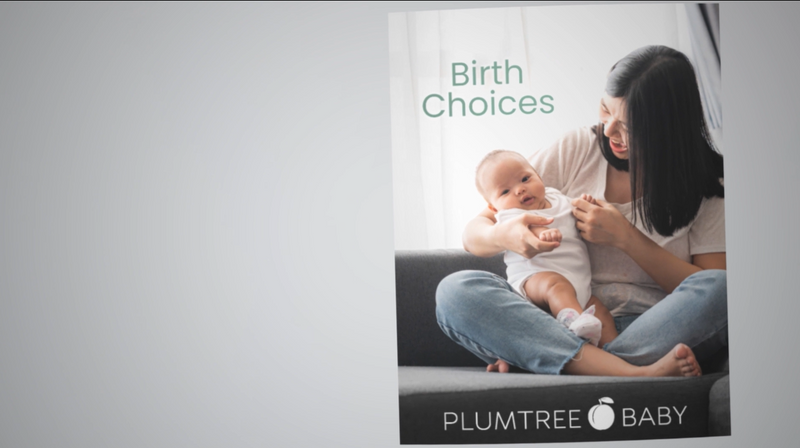 Birth Choices Booklet