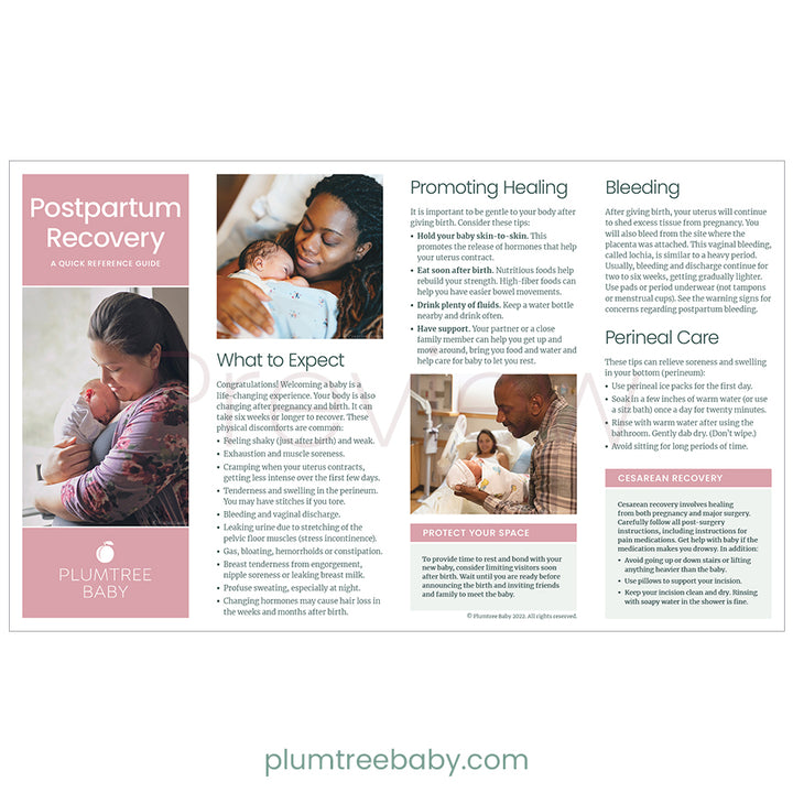 Postpartum Quick Reference Guides - Pack of 50-Handout-Plumtree Baby