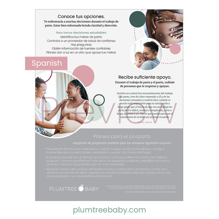 Foundations for a Positive Birth Handouts - Pack of 50-Handout-Plumtree Baby