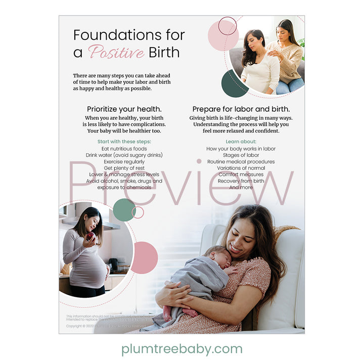 Foundations for a Positive Birth Handouts - Pack of 50-Handout-Plumtree Baby
