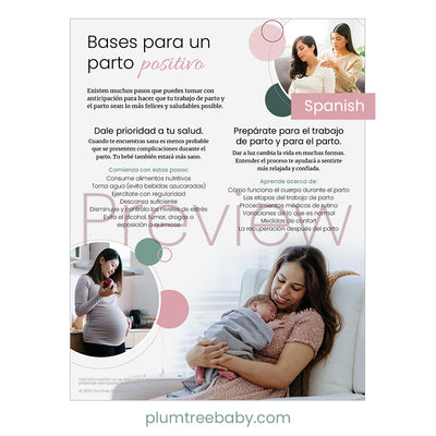 Foundations for a Positive Birth Handouts - Pack of 50-Handout-Plumtree Baby