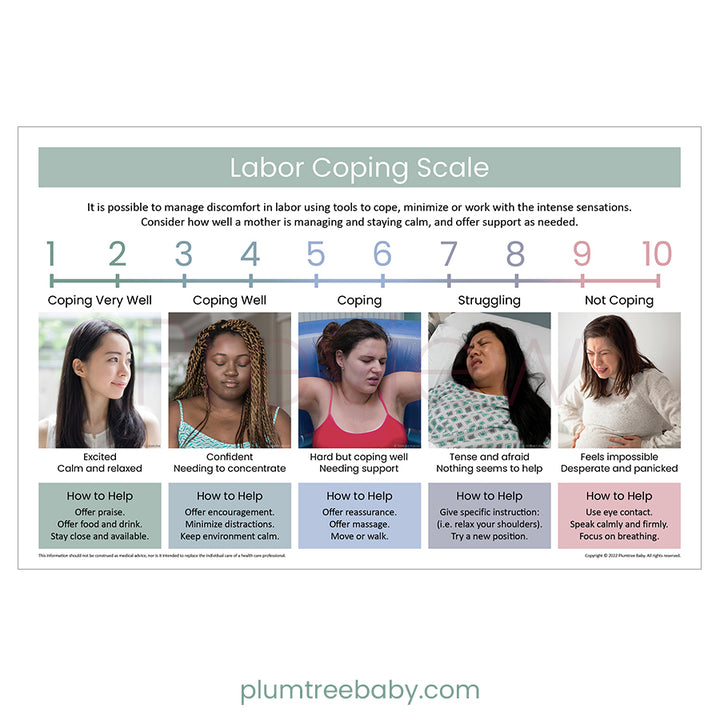 Labor Coping Scale Poster-Poster-Plumtree Baby