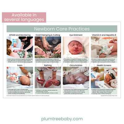 Newborn Care Practices Poster-Poster-Plumtree Baby