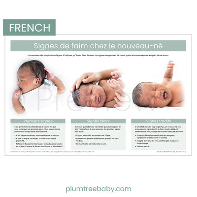 Newborn Hunger Cues Poster-Poster-Plumtree Baby