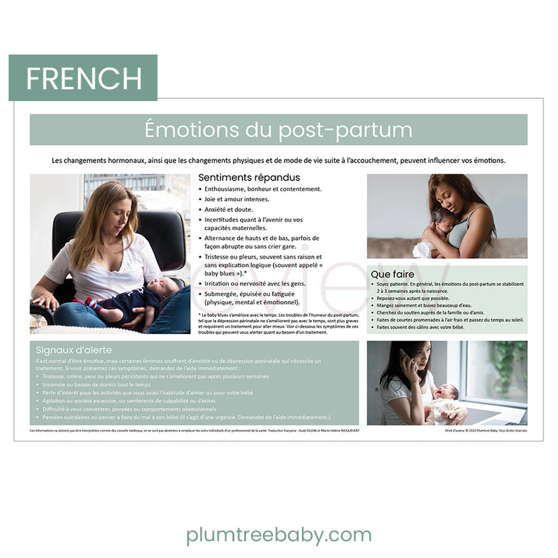 Postpartum Emotions Poster-Poster-Plumtree Baby