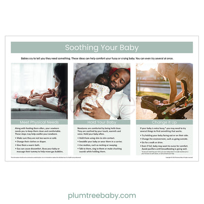 Soothing Your Baby Poster-Poster-Plumtree Baby