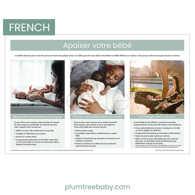 Soothing Your Baby Poster-Poster-Plumtree Baby