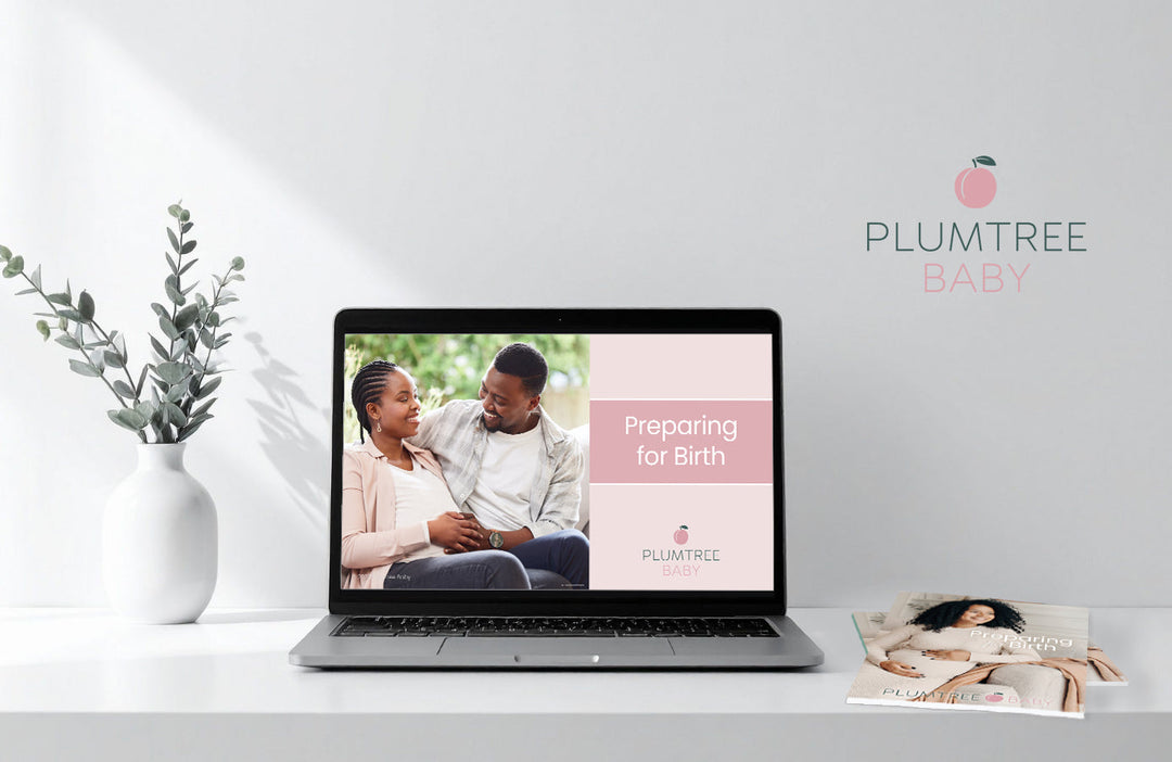 New Revisions Now Available for the Preparing for Birth PowerPoint & Guidebook