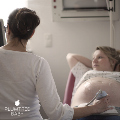 Prenatal Testing: Part 1