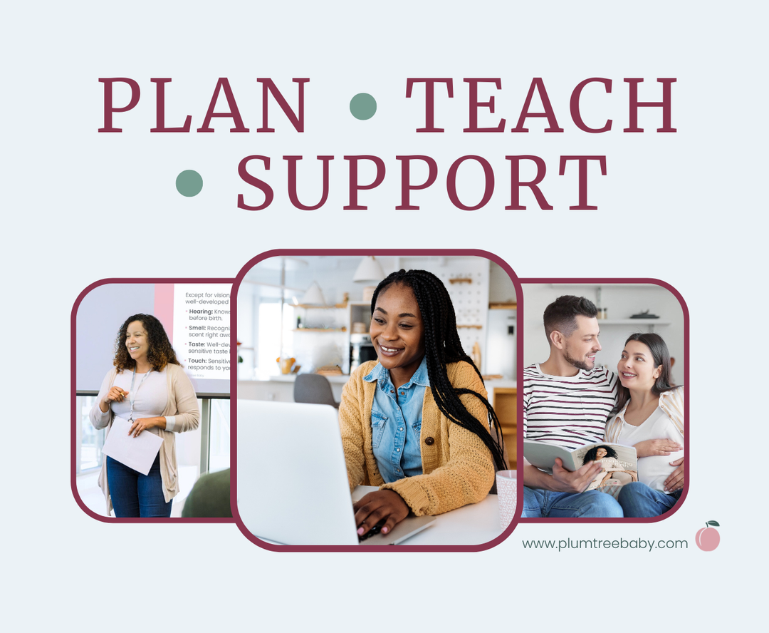Educator planning, teaching and supporting clients