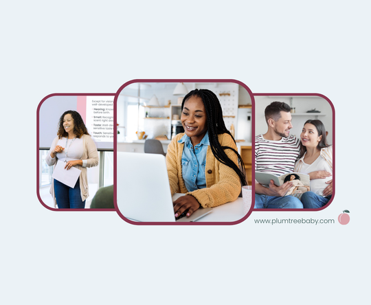 Plan, Teach, Support: A Perinatal Curriculum Framework