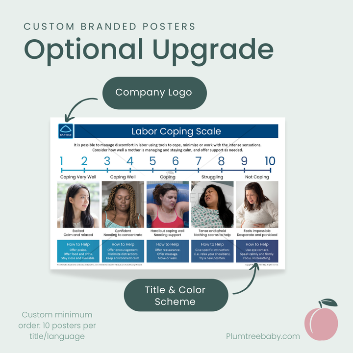 Anatomy of Pregnancy Poster-Poster-Plumtree Baby