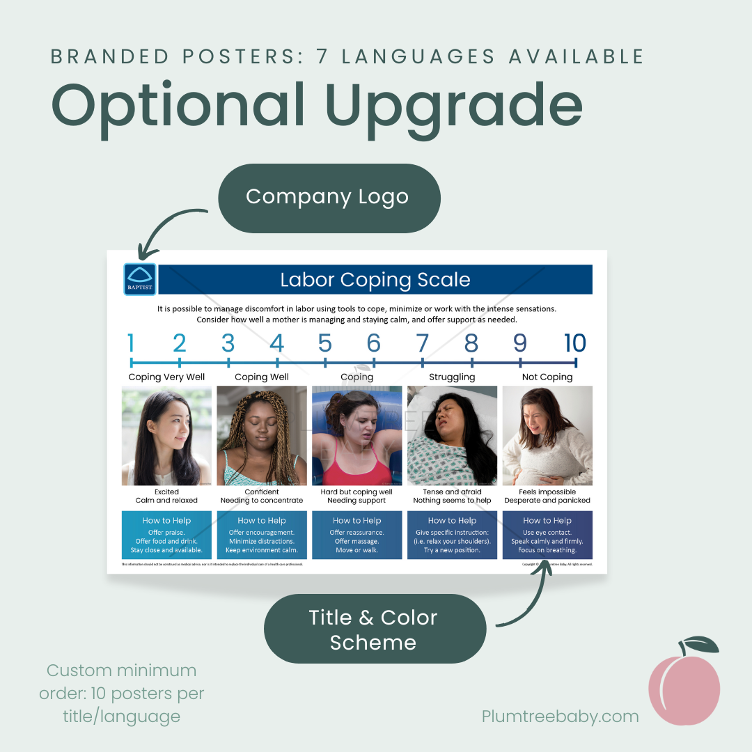 Anatomy of Pregnancy Poster-Poster-Plumtree Baby