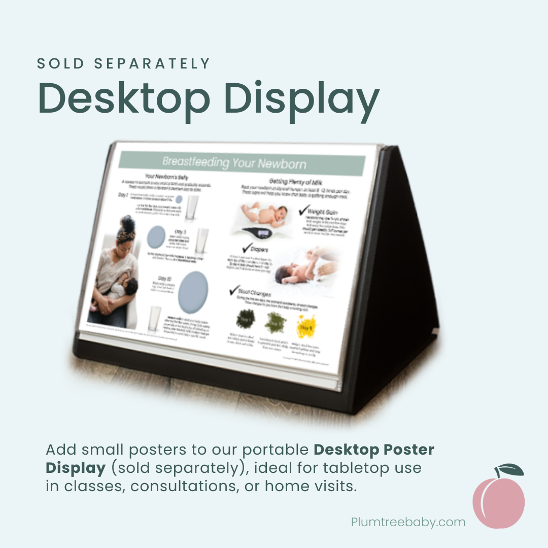 Anatomy of Pregnancy Poster-Poster-Plumtree Baby