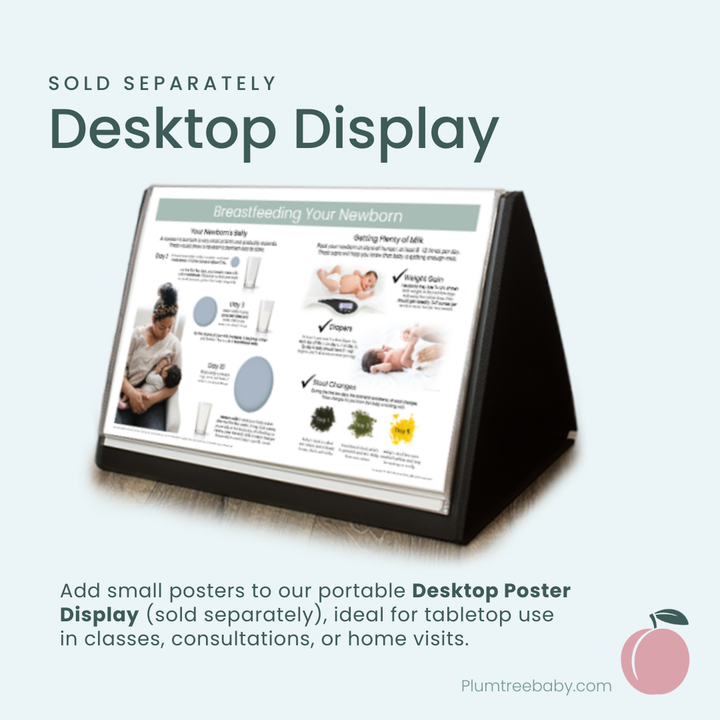 Anatomy of Pregnancy Poster-Poster-Plumtree Baby