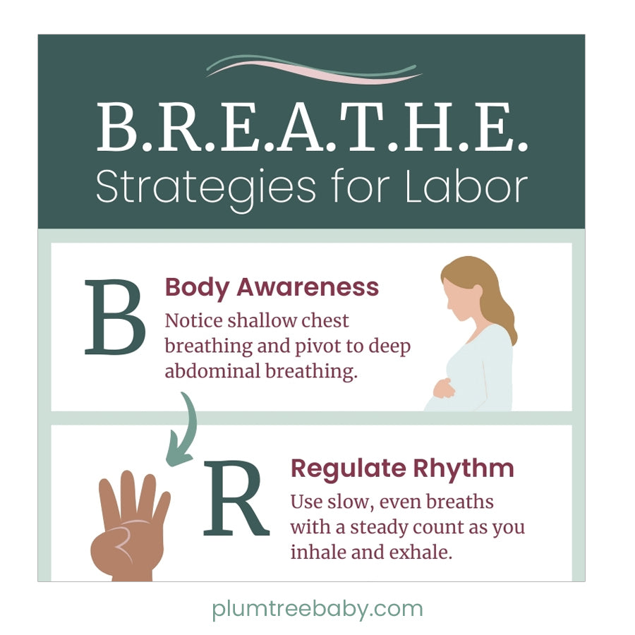 B.R.E.A.T.H.E Strategies for Labor Teaching Bundle-Instructor Resource-Plumtree Baby