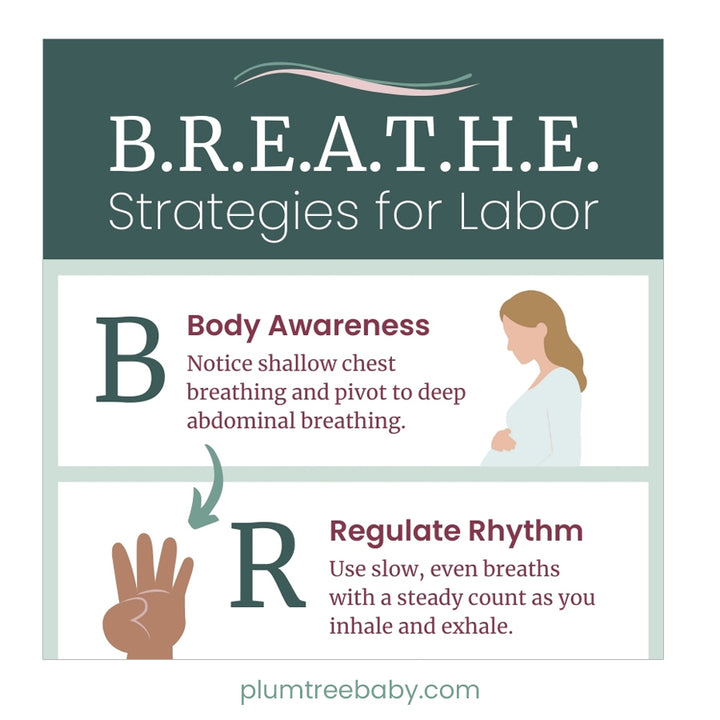 B.R.E.A.T.H.E Strategies for Labor Teaching Bundle-Instructor Resource-Plumtree Baby