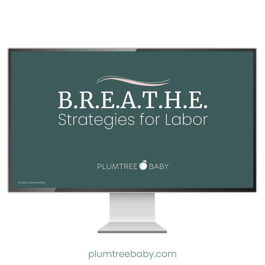 B.R.E.A.T.H.E Strategies for Labor Teaching Bundle-Instructor Resource-Plumtree Baby