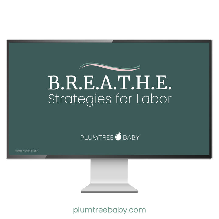 B.R.E.A.T.H.E Strategies for Labor Teaching Bundle-Instructor Resource-Plumtree Baby