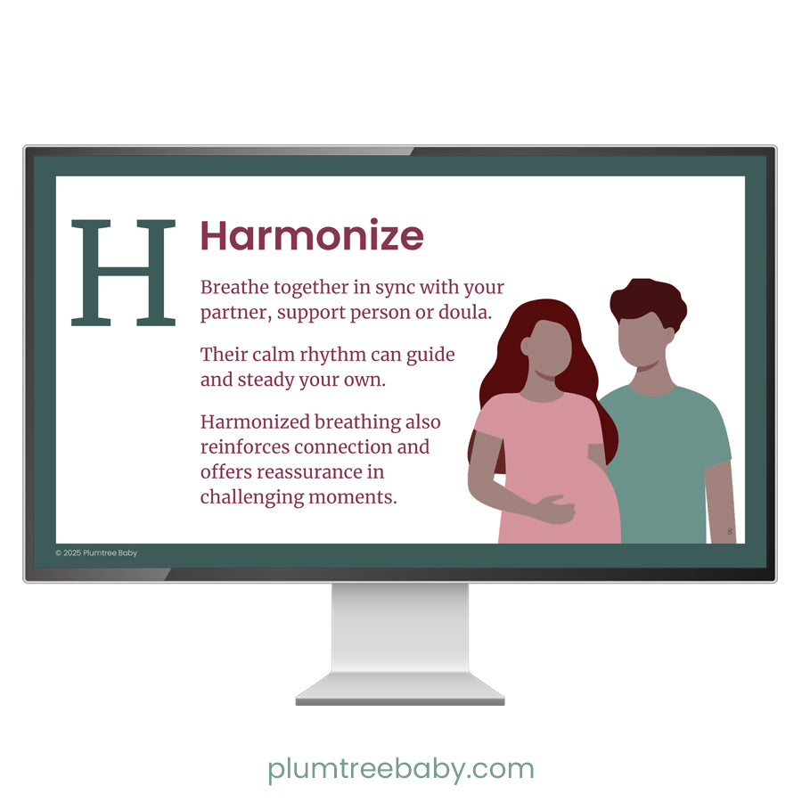 B.R.E.A.T.H.E Strategies for Labor Teaching Bundle-Instructor Resource-Plumtree Baby