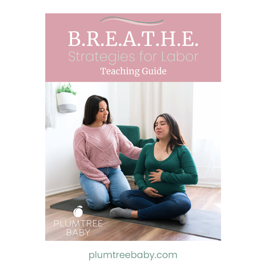 B.R.E.A.T.H.E Strategies for Labor Teaching Bundle-Instructor Resource-Plumtree Baby