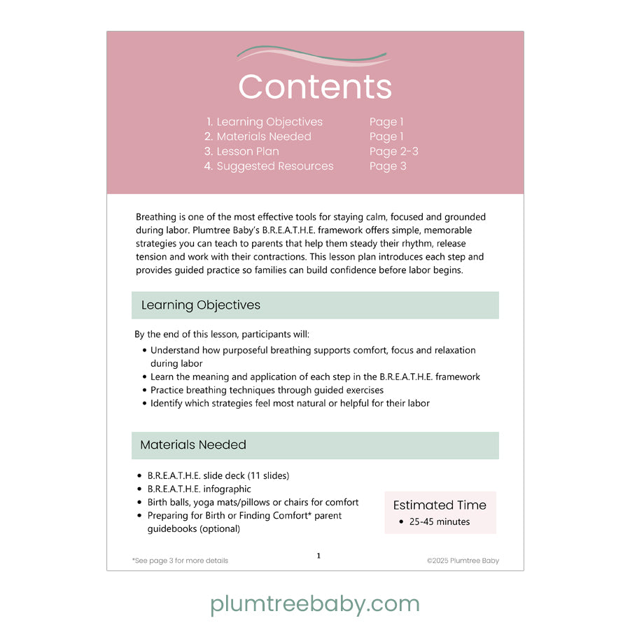 B.R.E.A.T.H.E Strategies for Labor Teaching Bundle-Instructor Resource-Plumtree Baby