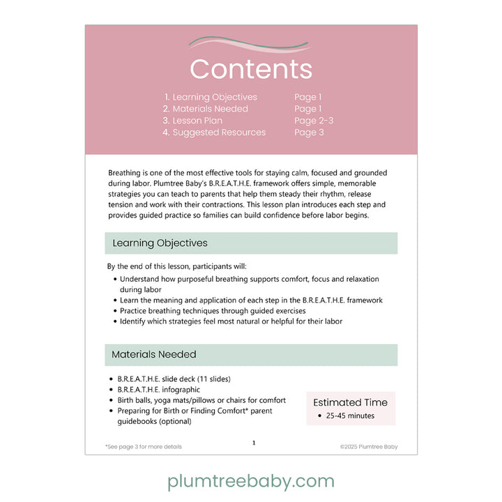 B.R.E.A.T.H.E Strategies for Labor Teaching Bundle-Instructor Resource-Plumtree Baby