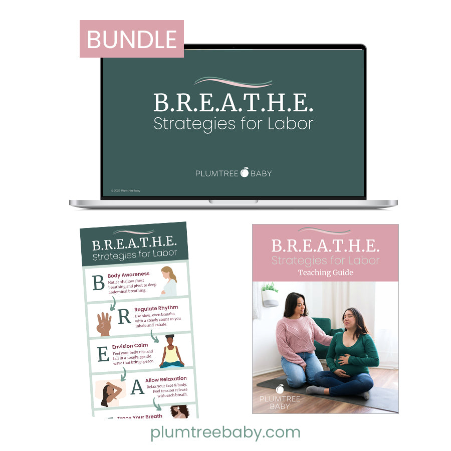 B.R.E.A.T.H.E Strategies for Labor Teaching Bundle-Instructor Resource-Plumtree Baby