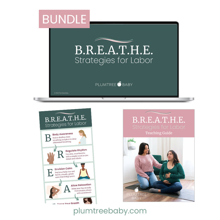 B.R.E.A.T.H.E Strategies for Labor Teaching Bundle-Instructor Resource-Plumtree Baby