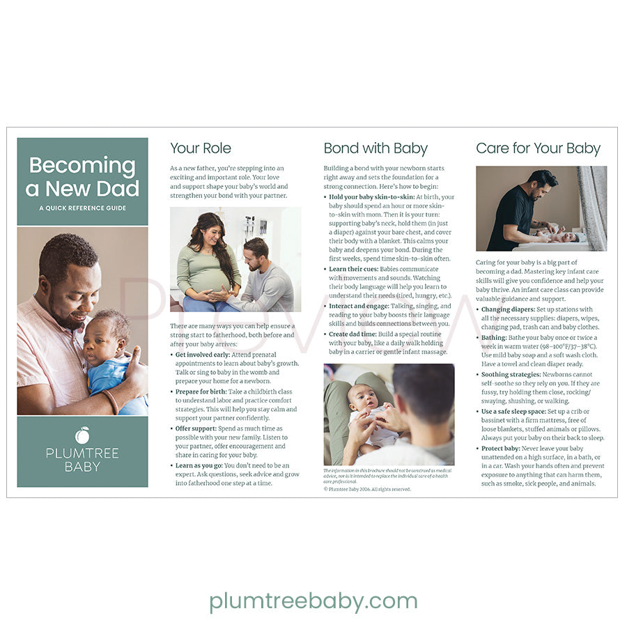 Becoming a New Dad Quick Reference Guides - Pack of 50