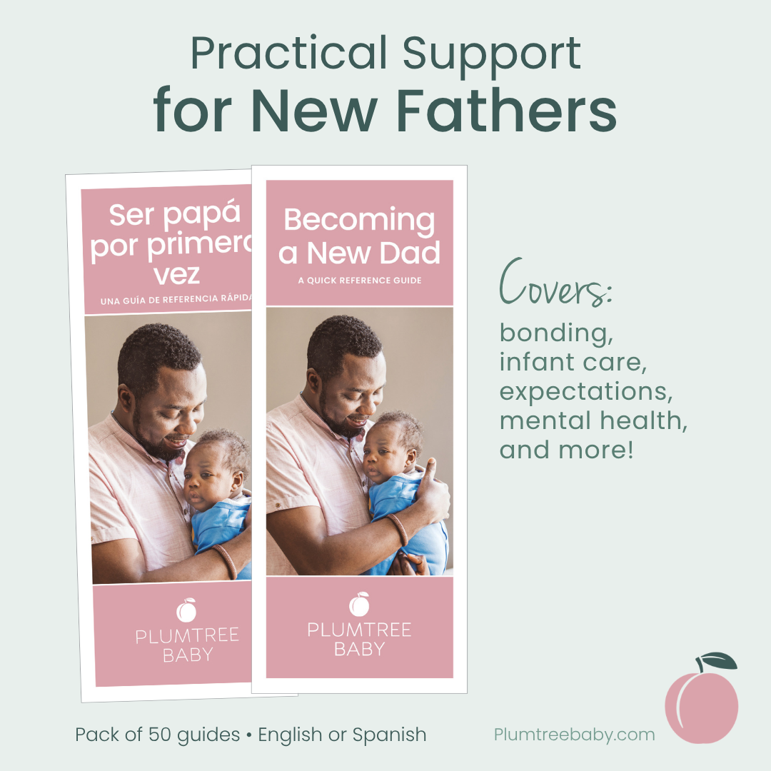 Becoming a New Dad Quick Reference Guides - Pack of 50-Handout-Plumtree Baby