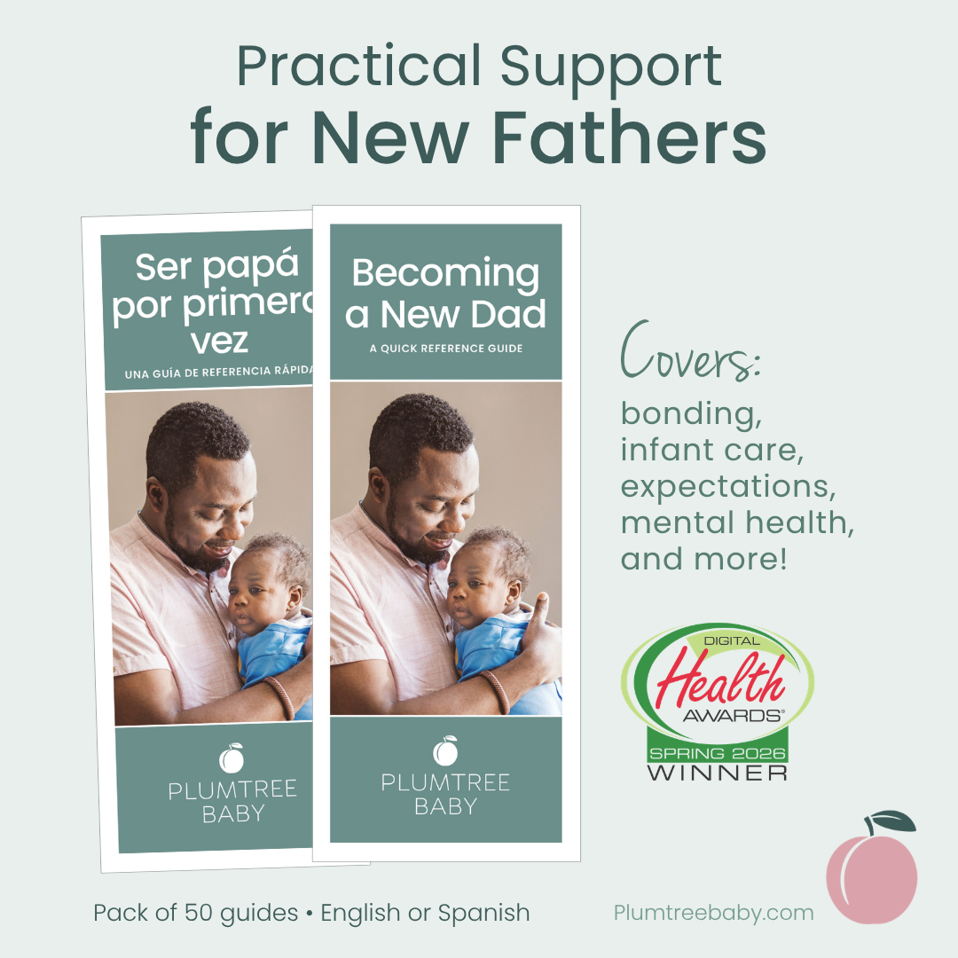 Becoming a New Dad Quick Reference Guides - Pack of 50