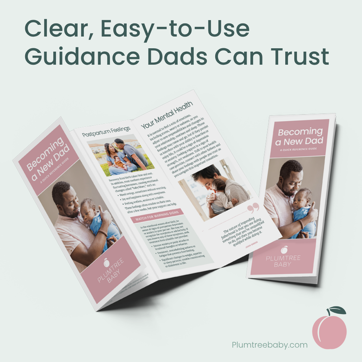Becoming a New Dad Quick Reference Guides - Pack of 50-Handout-Plumtree Baby