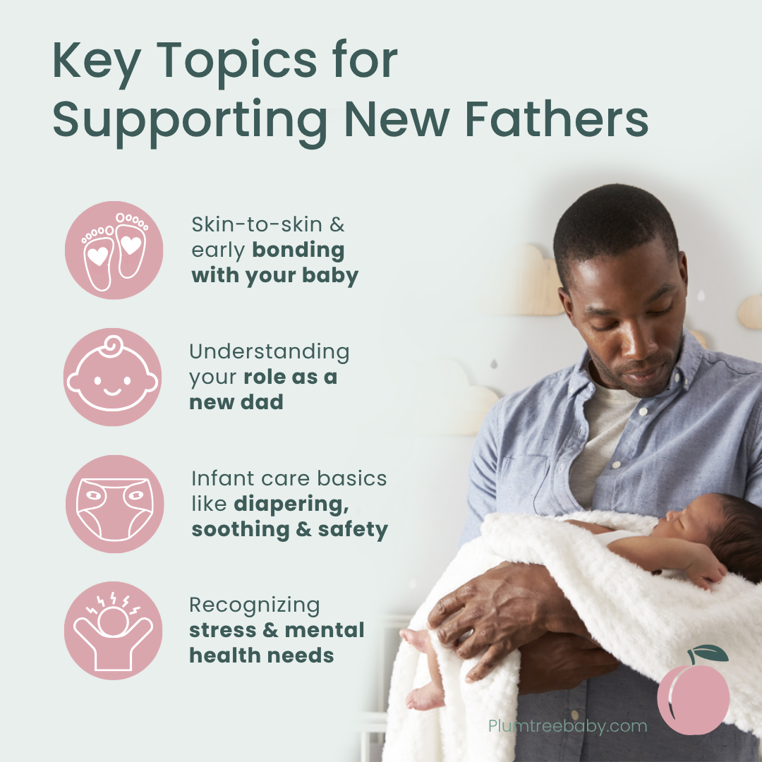 Becoming a New Dad Quick Reference Guides - Pack of 50-Handout-Plumtree Baby