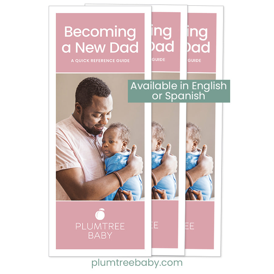Becoming a New Dad Quick Reference Guides - Pack of 50-Handout-Plumtree Baby