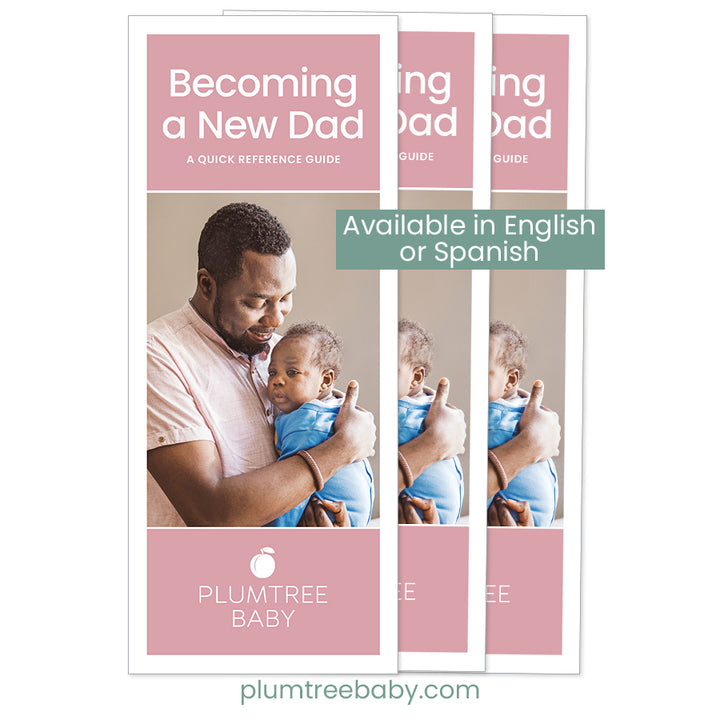 Becoming a New Dad Quick Reference Guides - Pack of 50-Handout-Plumtree Baby