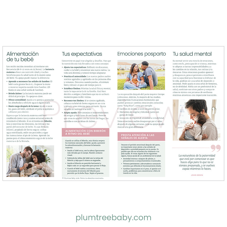 Becoming a New Dad Quick Reference Guides - Pack of 50-Handout-Plumtree Baby