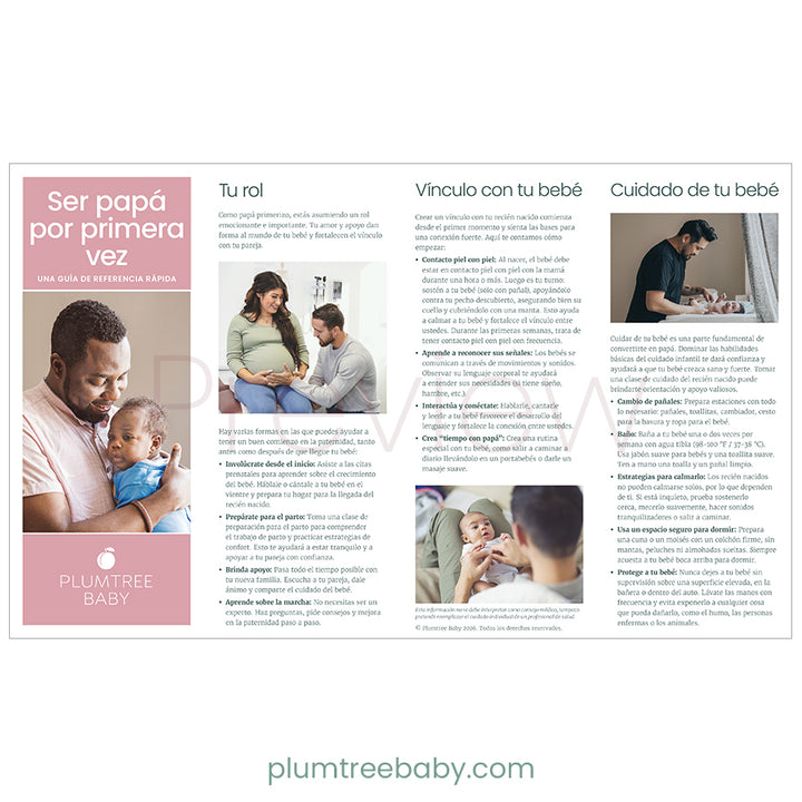 Becoming a New Dad Quick Reference Guides - Pack of 50-Handout-Plumtree Baby
