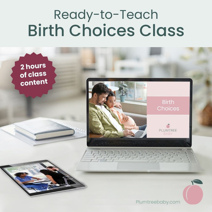 Birth Choices PowerPoint and Teaching Guide-PowerPoint-Plumtree Baby