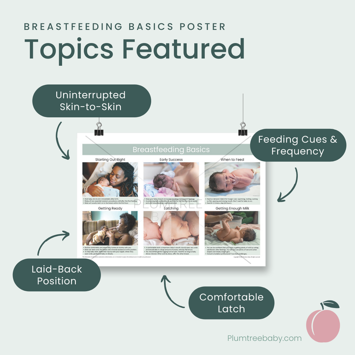 Breastfeeding Basics Poster-Poster-Plumtree Baby
