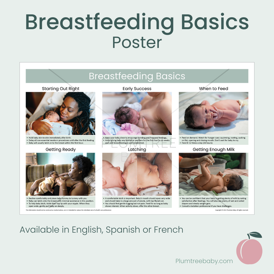 Breastfeeding Basics Poster-Poster-Plumtree Baby