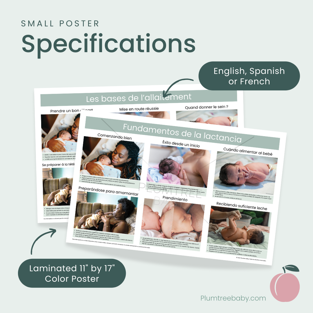 Breastfeeding Basics Poster-Poster-Plumtree Baby