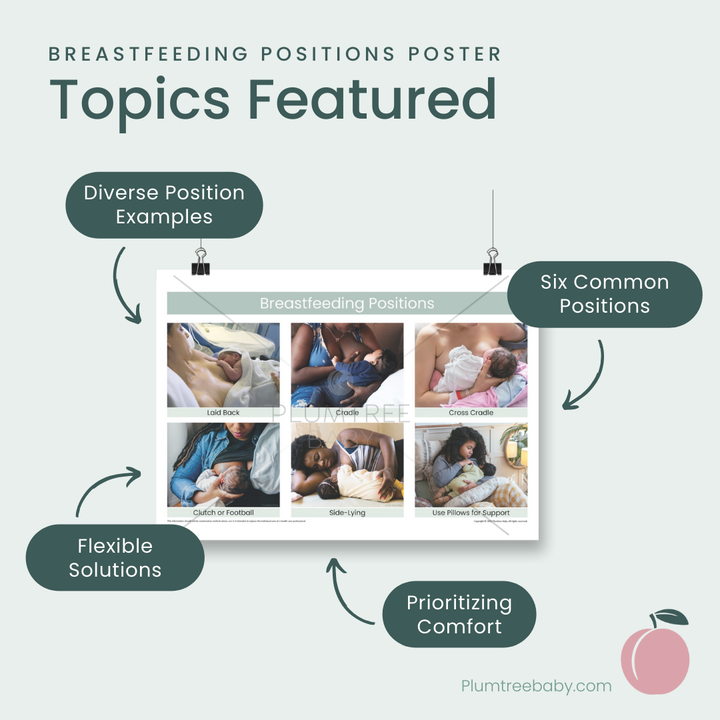 Breastfeeding Positions Poster-Poster-Plumtree Baby