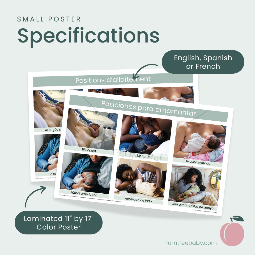 Breastfeeding Positions Poster-Poster-Plumtree Baby