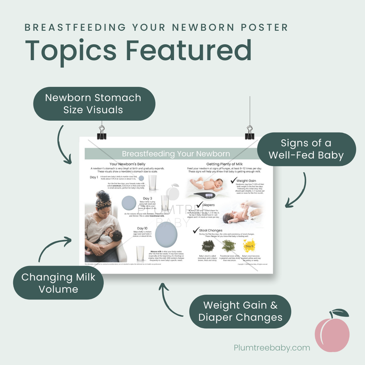 Breastfeeding Your Newborn Poster-Poster-Plumtree Baby